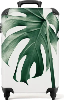 Produktbild von NoBoringSuitcases.com® Koffer Handgepäck Trolley Rollkoffer Kleine Reisekoffer mit 4 Rollen - Monstera - Blätter - Grün - Stilleben - Cabin Size < 55x40x23 cm & 55x40x20 cm - Fotokoffer - Kabinenkoffer - BoardgepäckHandgepäck Koffer 55x35x20 cm, 36L,