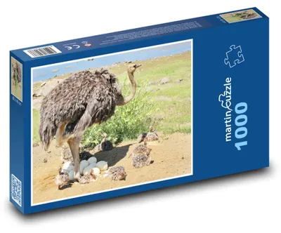 Obrázok produktu pre martinpuzzle - Puzzle 1000 - Štrúcok - vták
