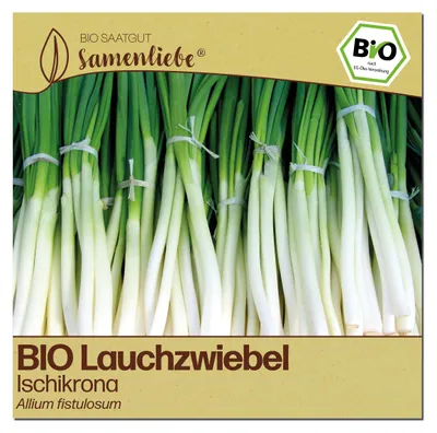 Produktbild von Samenliebe  Lauchzwiebel Samen | Ischikrona - winterhart - samenfestes  Saatgut