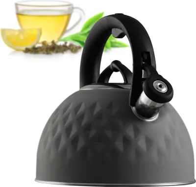 Produktbild von KADAX Stahlkessel 2,5l, Induktion, Gaspfeife mit Griff, traditionell