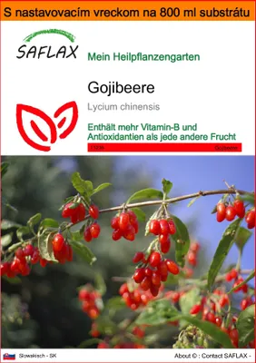 Obrázok produktu pre SAFLAX Garden in the bag - Gojibeere - Lycium chinensis - 200 Semená - S pestovateľským substrátom v praktickom samostaviteľnom vrecku