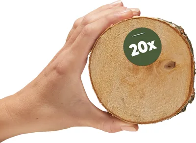 Produktbild von Kleine 10 cm Baumscheiben 20er Pack zum Holz-Deko Basteln
