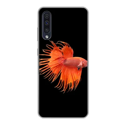 Produktbild von MuchoWow® Handyhülle Schutzhülle Hülle für Samsung Galaxy A30s Fische - Wilde Tiere - Schwarz Silikon Softcase Handy Hülle - Karteninhaber