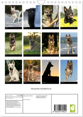 Produktbild von Deutscher Schäferhund (Wandkalender 2026 DIN A4 hoch), CALVENDO Monatskalender