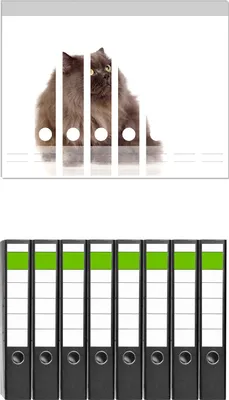 Produktbild von Wallario 8 Stück schmale Ordner inkl. Klebeetiketten mit Motive Perserkatze vor weißem Hintergrund -  Set mit Rückenschildern / Ordnerrücken Stickern