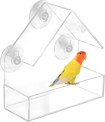 Productafbeelding van Transparant vogelbad voor balkon met voederdispenser en zuignappen