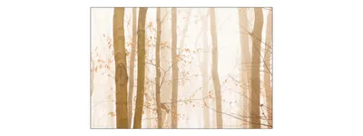 Produktbild von Muralo Fototapete Wald im Nebel 450 (B) x 300 (H) cm cm Vlies Tapete Wandtapeten Bäume Wohnzimmer Schlafzimmer moderne Wandbilder XXL Landschaft Panorama Wand Dekoration