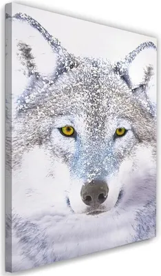 Produktbild von Leinwandbild weißer wolf im schnee 40x60 cm Feeby grau wandbild bereit zum aufhängen