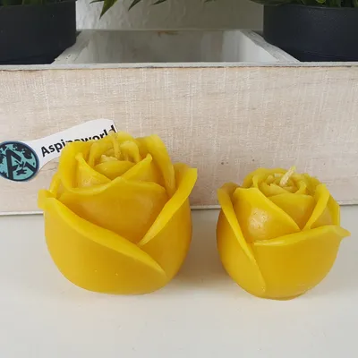 Produktbild von Bienenwachskerze Rosen Kerzen im 2 er Set 5 cm