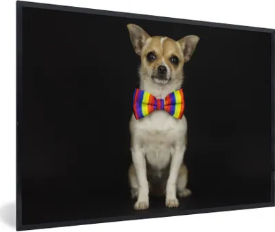 Produktbild von MuchoWow® Gerahmtes Poster Hund - Fliege - Schwarz 90x60 cm - Poster mit Schwarzem Bilderrahmen Wandposter Rahmen Foto Bilder - Fotorahmen - Foto-Plakat