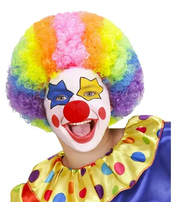 Produktbild von WIDMANN S.R.L. Perücke Clown im Beutel