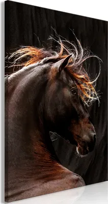 Produktbild von Italienischer Leinwand Leinwandbild - Fiery Wind (1 Part) Vertical 60x90 cm Tiere g-C-0247-b-a