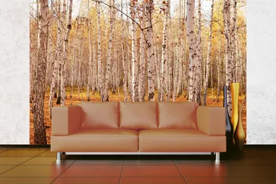 Produktbild von Vlies Fototapete BIRKENHAIN 375 x 250 cm (inkl. Kleister) - Vlies Tapete, Wandtapete, Wandbilder - Tapete für Wohnzimmer Schlafzimmer, Büro, Küche - Montagefertig