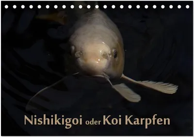 Produktbild von Nishikigoi oder Koi Karpfen (Tischkalender 2026 DIN A5 quer), CALVENDO Monatskalender