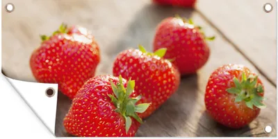 Obrázok produktu pre MuchoWow® Vonkajší plagát - Záhradná dekorácia ochrana súkromia - Záhradné plagáty pre záhradu - Jahoda - Ovocie - stôl - 100x200x0.2cm
