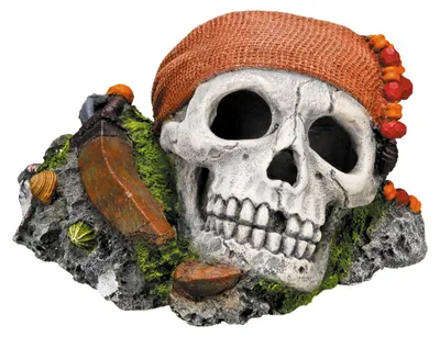 Produktbild von Nobby Piraten Totenkopf, Mehrfarbig, Frischwasser, Salzwasser, 1 Stück(e), 145 mm, 125 mm, 85 mm