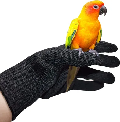 Produktbild von 1 Paar Anti-Biss-Handschuhe für Papageien, Vogeltraining Handschuhe Kleintiere Die mit Drahthandschuhen Umgehen Und Schützende Stahldrahthandschuhe Kauen