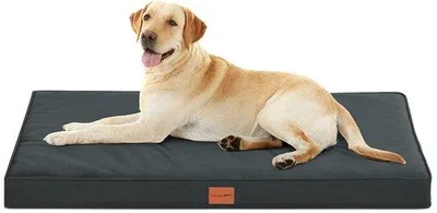 Produktbild von Orthopädische Hundebett, Hundekissen mit Ei-Kratzpolster für Große Hunde, 112 x 81 cm, Abnehmbar und Waschbar, Antirutschboden, Grau