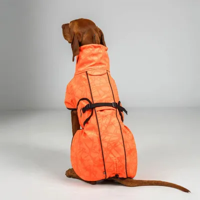 Produktbild von Back on Track Bark Allround Hundemantel orange 60