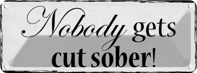 Zdjęcie produktu dla vianmo Blaszany znak 10x27 cm Nobody gets cut sober