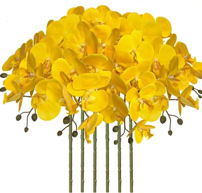 Productafbeelding van Nep Orchidee Bloemen - Kunstbloemen Stelen - Huis Decoratie - Real Touch Materiaal - 80 cm Lengte - Geel