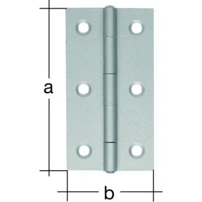 Productafbeelding van Gerolde, smalle scharnier, roestvrij staal, 64x34 mm, 60x34 mm, roestvrij staal