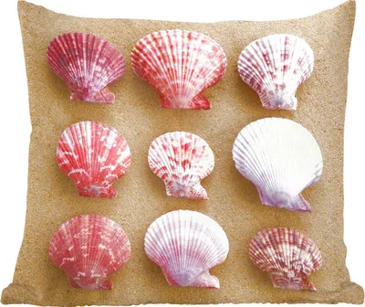 Produktbild von MuchoWow® Zierkissen Sofakissen Wohnzimmer Dekokissen 40x40 cm Muscheln - Rosa - Strand - Foto Kissen - Schlafzimmer Dekoration