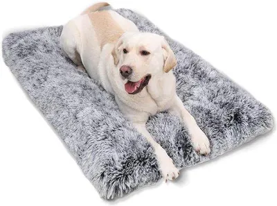 Produktbild von Famanu Hundekissen 90 x 60 cm - Grau