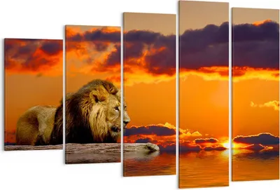 Produktbild von Bild auf Leinwand - Leinwandbild - Löwe Sonne Landschaft - 150x100cm - Wand Bild - Wanddeko - Leinwanddruck - Bilder - Kunstdruck - Wanddekoration - Leinwand bilder - Wandkunst - EG150x100-0230