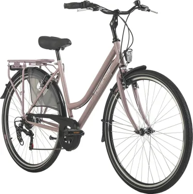 Produktbild von Hollandrad Damen 28" City Next RH 50 cm 6 Gänge Hollandia Hollandia 162C, 163C