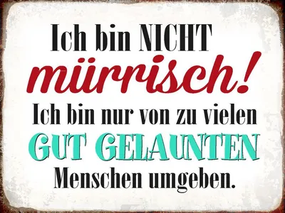Produktbild von vianmo Holzschild 30x40 cm ich bin nicht mürrisch bin nur