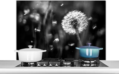 Produktbild von KitchenYeah®  Spritzschutz Küche - Küchenrückwand - Wandschutz für Herd und Spüle - Löwenzahn - Schwarz - Weiß - Pflanze 100x65 - Alu-Dibond (Alternative zum Spritzschutz aus Glas) - Hitzebeständig -