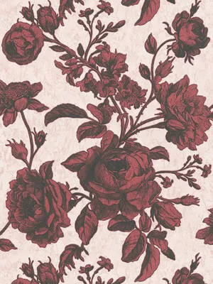 Produktbild von Rosen Tapete Rot-Schwarz im Vintage Zeichen Stil – Rosa, Rot