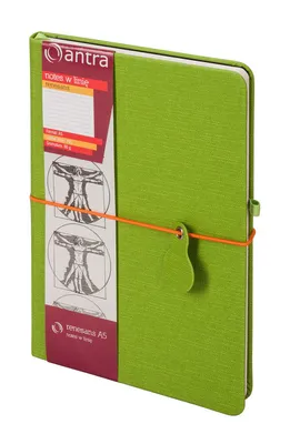 Obrázek produktu pro Renesans A5 Notes linia zielony
