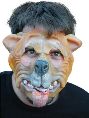 Produktbild von Hundemaske Bully