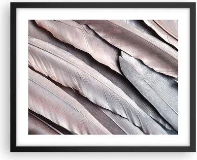 Produktbild von Gerahmtes Poster - Schwarzer Rahmen - Federn Flügel Feder - 50x40 cm - Wand Bild - Wanddeko - Wandbilder - Kunstposter - Wandposter - Bilderrahmen - Bilder - Kunstdruck - P2BAA50x40-5114