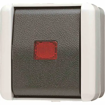 Produktbild von JUNG WG 800 AP-Kontrollschalter Grau IP44