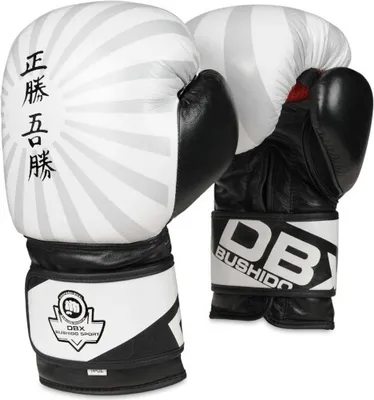 Image de Gants de boxe DBX BUSHIDO B-2v8 10oz