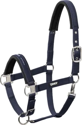 Image de Licol Basic Pin Buckle d'Eskadron