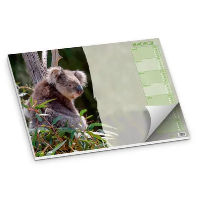 Produktbild von itenga Schreibtischunterlage für Kinder KOALA DIN A3 50 Blatt