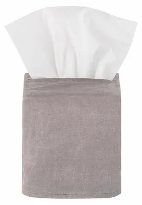 Immagine prodotto di Blomus Kosmetiktuchbox -TISU- Farbe Satellite, Mundgeblasenes Glas, 66334, Shop Exclusive