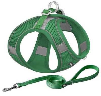 Image de Harnais et laisse anti-traction pour chien, couleur verte, taille M