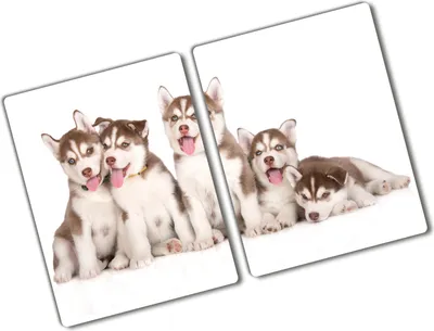 Produktbild von Tulup Glas Herdabdeckplatte - 2x40x52 cm - Glaskeramikkochfeld-Abdeckung Spritzschutz Glasabdeckplatte Kochplattenabdeckung und Schneidebrett - Zweiteilig - Tiere - Husky Welpen - Braun