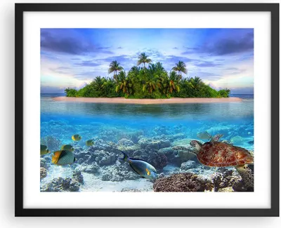 Produktbild von Gerahmtes Poster - Schwarzer Rahmen - Strand lagune wasser ozean - 50x40 cm - Wand Bild - Wanddeko - Wandbilder - Wandposter - Bilderrahmen - Bilder - Kunstdruck - Wandbild - P2BAA50x40-2686