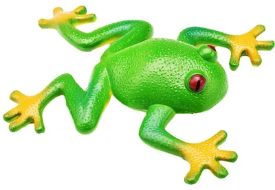 Image de Grenouille en caoutchouc à presser, jouet extensible, anti-stress, stimulation sensorielle, exutoire pour enfants et adultes