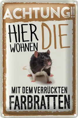 Produktbild von Blechschild Spruch 20x30cm Achtung hier Farbratten