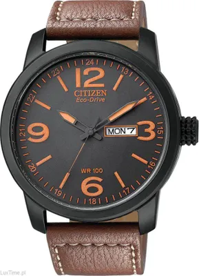 A close-up studio shot of a Citizen Eco-Drive men's watch with a black case and brown leather strap.