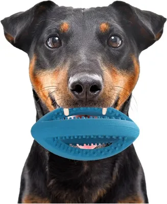 Obrázek produktu pro HappyPet Interaktivní ragbyový míč Mini - gumový ragbyový míč happypet