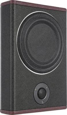 Immagine prodotto di Subwoofer per auto - Altoparlante attivo per bassi - 20,3 cm - 600 W - Ultrapiatto e compatto - Bassi potenti - Nero