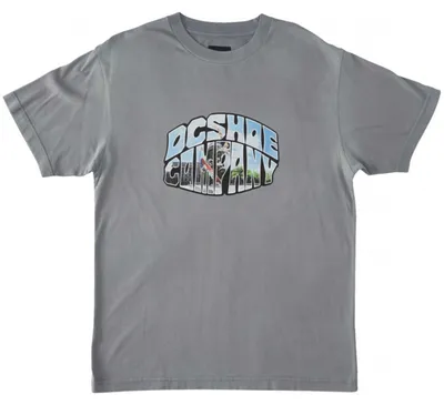 Productafbeelding van T-shirt Dc Shoes ADYKT03214-KZE0 voor Heren